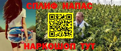 марки nbome Сланцы