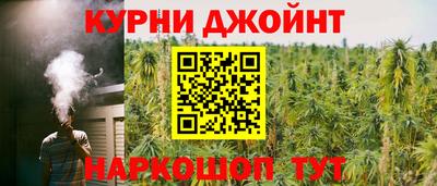 apvp Славгород