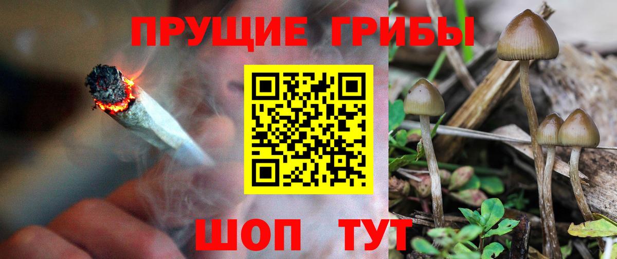 Галлюциногенные грибы ЛСД  Вход с VPN  Нижний Новгород  дарнет шоп  Галлюциногенные грибы мицелий 